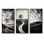 Route, noir et blanc, paysage d'imitation, ensemble de 3 impressions sur toile-510400551-510400545