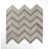 Cream/Taupe