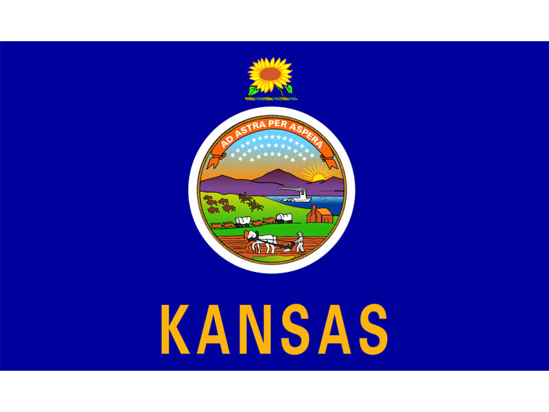 Kansas State, 14" H x 24" W