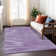  Machine Washable Indoor/Outdoor Chantille ACN876 Black Rug