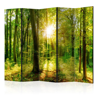 Hafzah 225cm W x 172cm H 5 - Panel Solid Wood Folding Room Divider