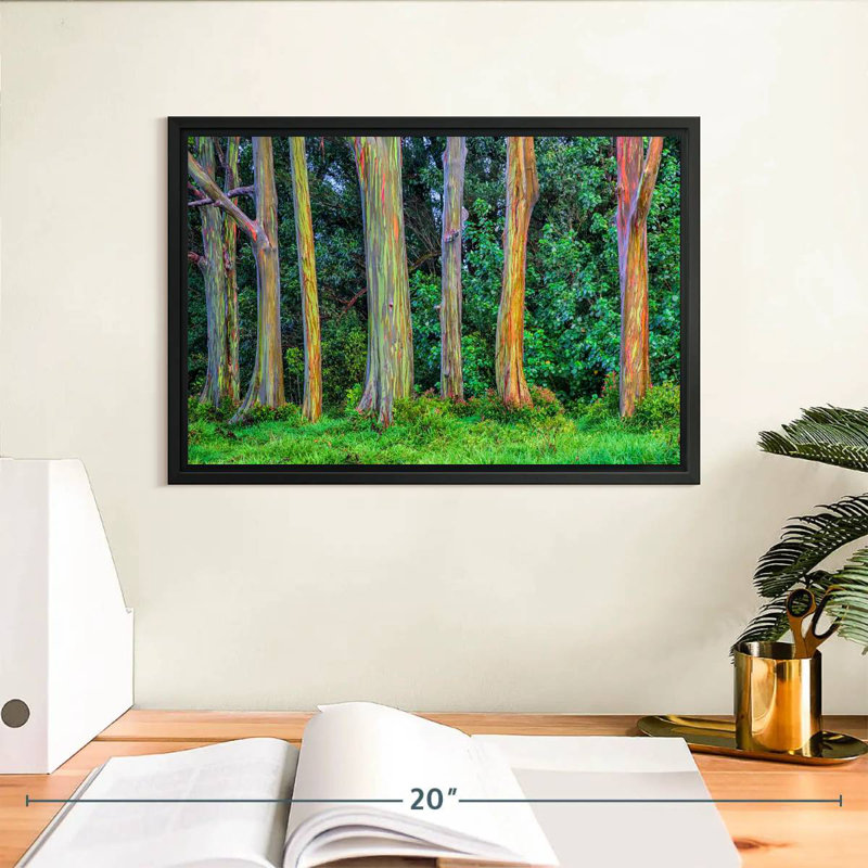 Harnek Eucalyptus Rainbow Trees, 9" H x 13" W