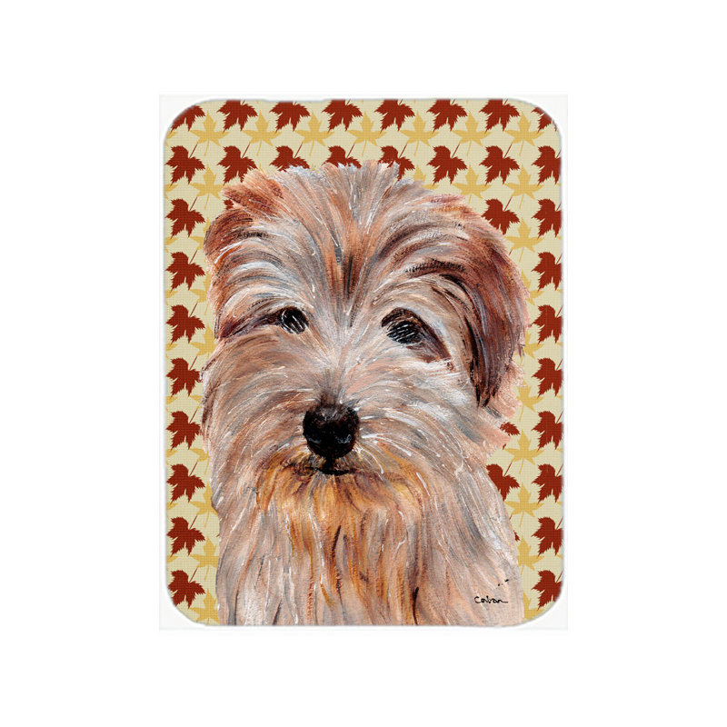 Planche à découper en verre terrier east urban home