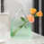 Vert transparent est en rupture de stock