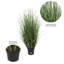 Gazon vert en pot Kellan-22996676