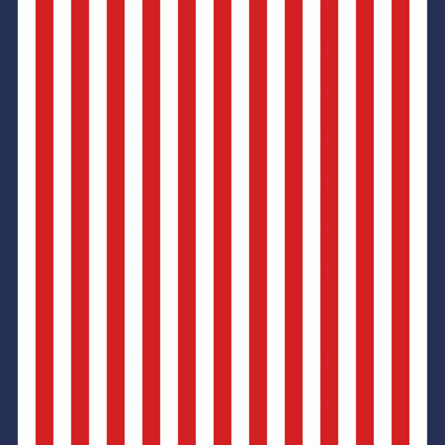 100% Cotton Elevated Stripe Border Oversized Beach Towels