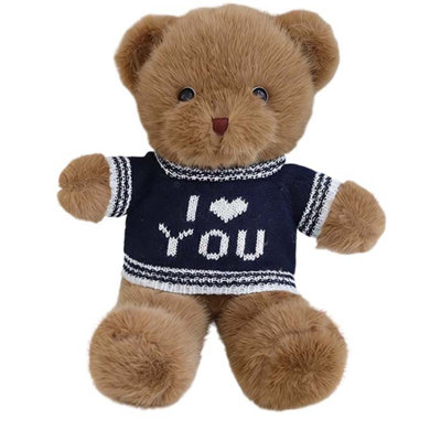 Day Bear  Series Pillow