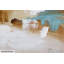 Hand Painted Acrylic Painting Enigmatic View
