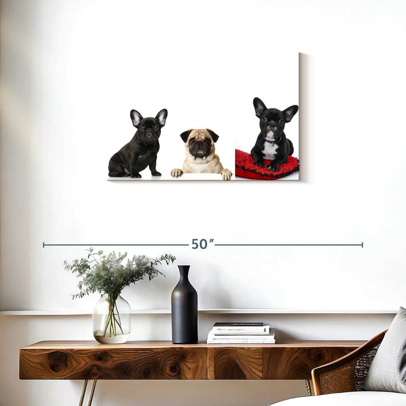 Bouledogue français et carlin Brampt, H 20 po x l 30 po