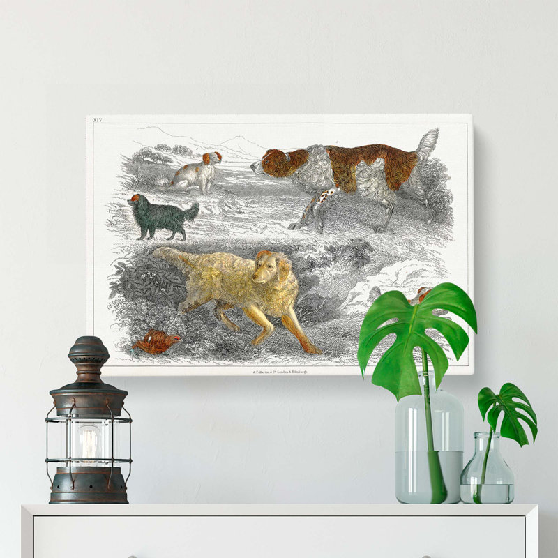 Hunting Dogs by Oliver Goldsmith - Wrapped Canvas Painting, 50cm H x 76cm W x 3cm D
