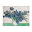«Irises 1890 White Vase» par Vincent Van Gogh, impression sur toile tendue-1186917918