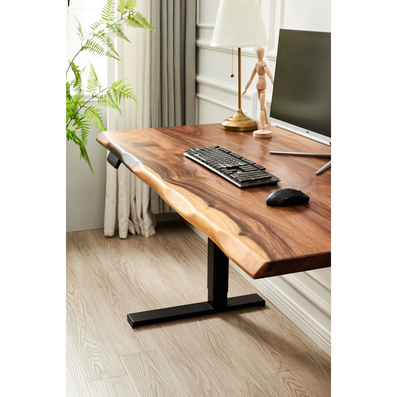  Adjustable Standing Desk with South American Walnut, Live Edge Desk, Black, 29.5" H x 46" W x 24" D