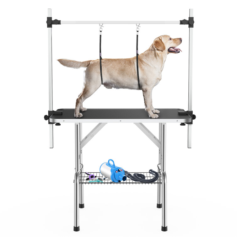 https://assets.wfcdn.com/im/73049957/resize-h755-w755%5Ecompr-r85/2447/244701475/Dog+Grooming+Table+with+Adjustable+Height.jpg