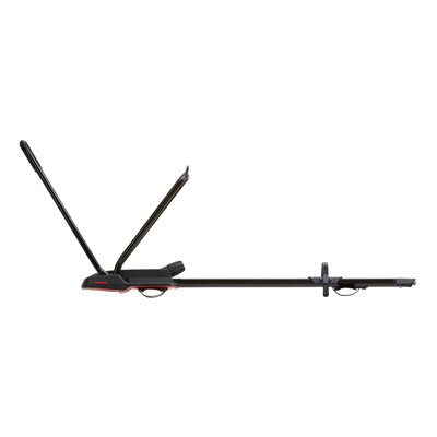 Rooftop Upright Bike Mount