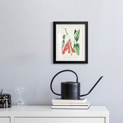 Sol -Gallery Wrapped Canvas