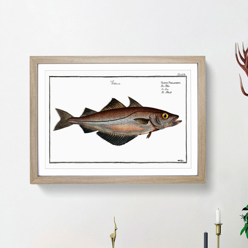 Pollock Fish by M.E. Bloch - Picture Frame Painting Print, 27cm H x 36cm W x 2cm D, Oak Framed