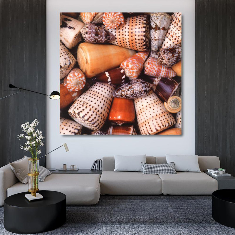 Cone Shells, 36" H x 36" W