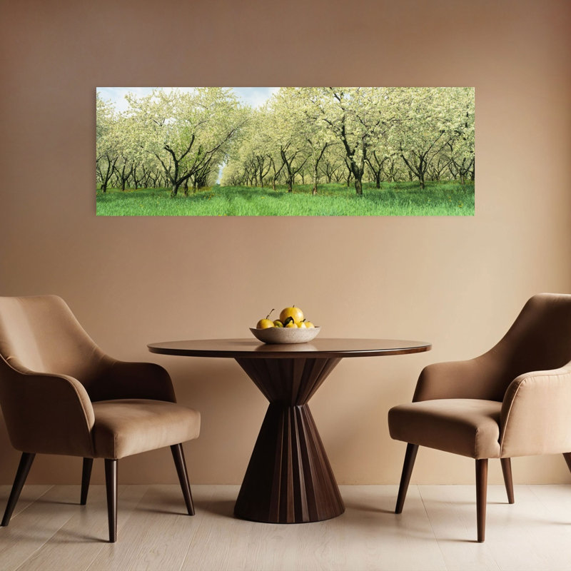 Rows Of Cherry Tress In An Orchard Minnesota USA 1 Piece Wrapped Canvas Panoramic Wall Art, 40.64 cm H x 121.92 cm W