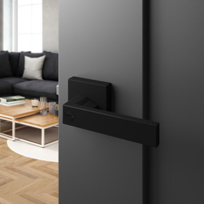 Passage (Hall & Closet) Door Lever