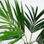 Faux Palm Plant in Pot Liner-88980144