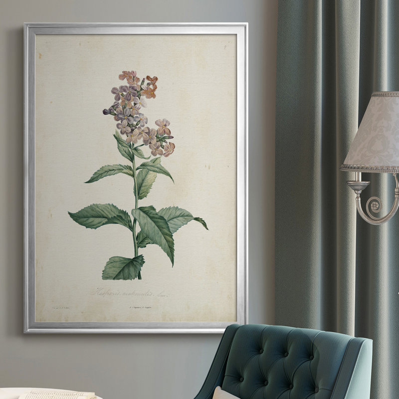 Toile encadrée de qualité supérieure Traditional Botanical II - prête à être accrochée, H 30,5 po x l 22,5 po x P 1 po