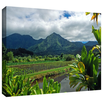 " A Taro Farm In Hanalei " by Kathy Yates