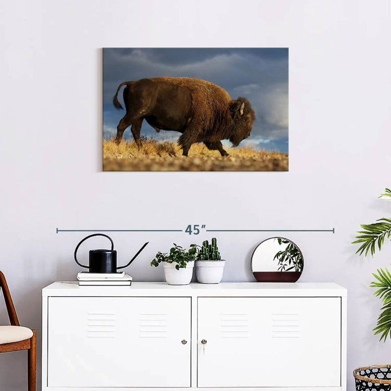Brampt Walking American Bison, 20" H x 30" W
