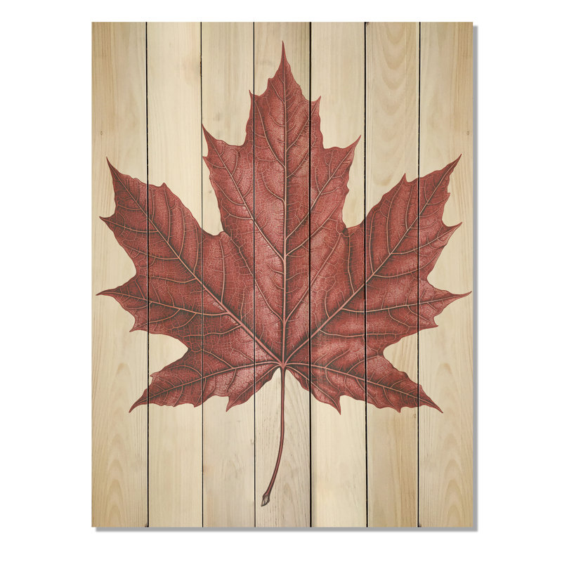 Minimalisme, feuille d'érable rouge d'automne - érable sur bois, H 20 po x l 10 po