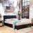 Arnolec Upholstered Low Profile Platform Bed-89950804