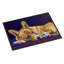 Tapis d'extérieur antidérapant Wenden Corgi Lonesome-765070536