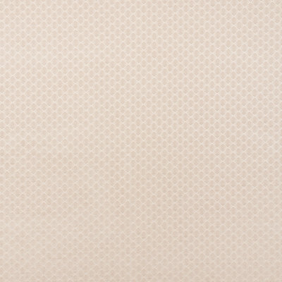 Morgan Fabric