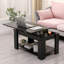 Fullington Lift Top Floor Shelf Coffee Table with Storage-1863587180