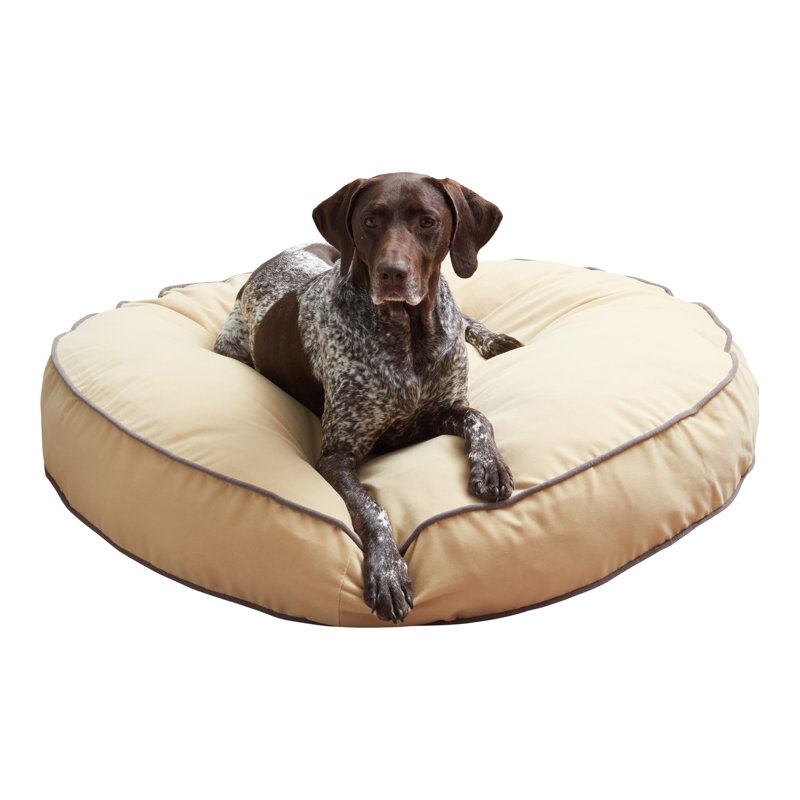 Lit pour chien Buckhead, Très grand (l 42 po x P 42 po x H 6 po), Crème au beurre