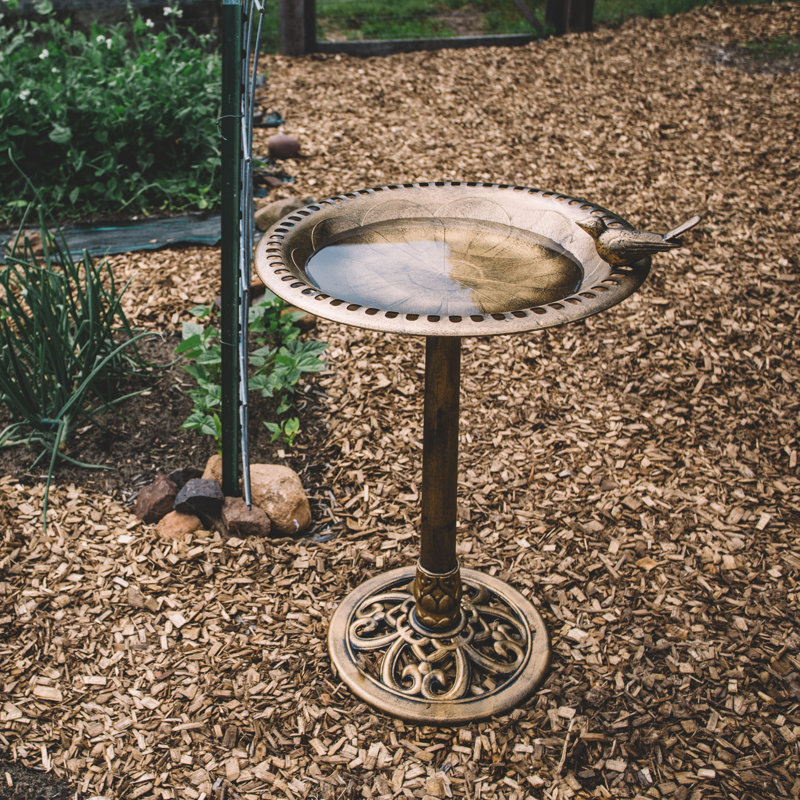 Bain d'oiseaux Aderes, Bronze