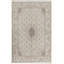 Oriental Area Rug in Ivory
