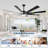 72 Inch Industrial DC Motor Ceiling Fan With Light