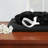 Microfiber Sheet Set-427045205-427045199