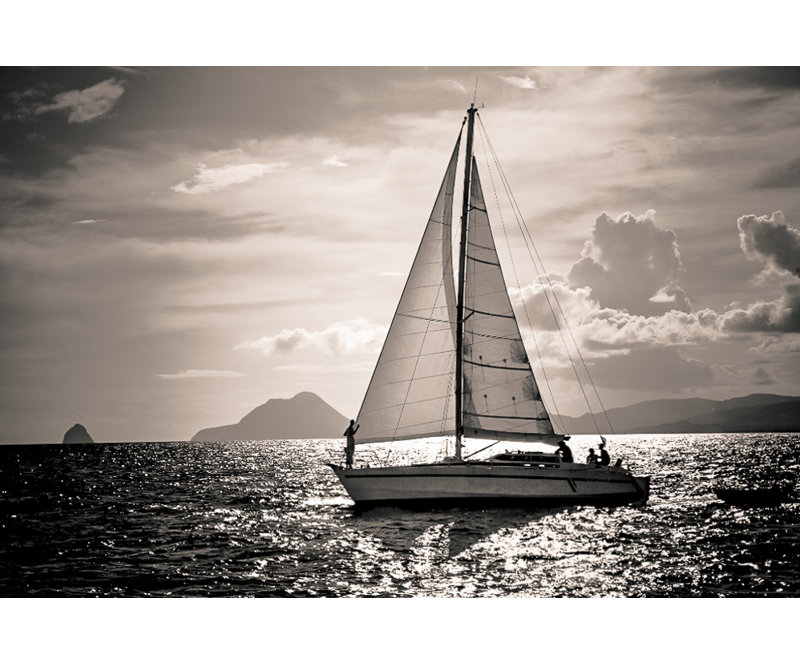 Marin Print, 30" H x 40" W