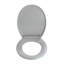 Esenler Soft Close Elongated Toilet Seat