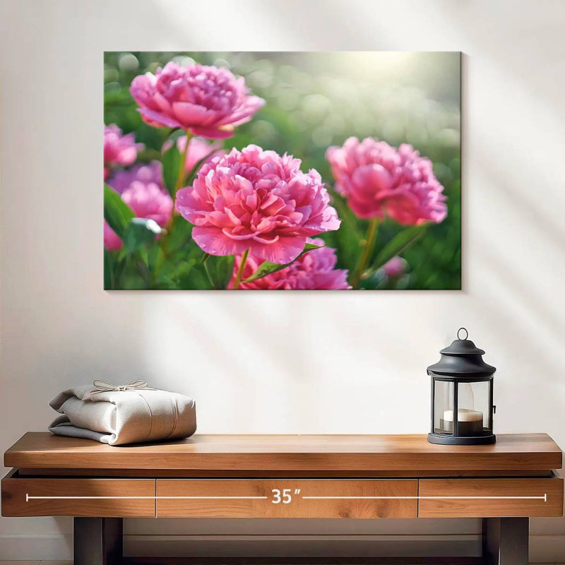 Harnek pivoines roses ensoleillées, H 16 po x l 24 po