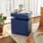 Westerly Modern Style Wooden Nightstand with LED Light and Storage Drawers-942507172
