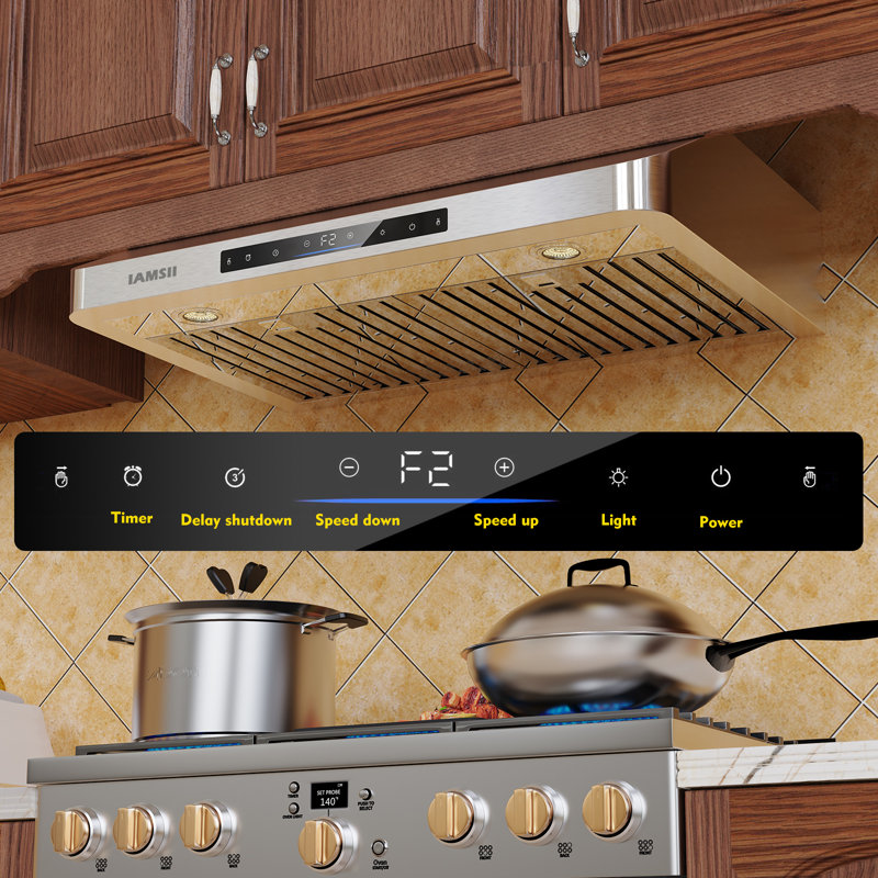 Hotte sous un meuble 30 pouces en acier inoxydable avec hotte de cuisine 900 Cfm avec télécommande
