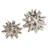 Urchin-Bright Silver-669399517