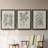 " Antique Black And White Botanical VII " 3 - Pieces-408395205-408395207