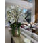Orchid Floral Arrangement in Pot-1287593593