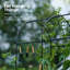 Metal Raised Garden Bed-381179119