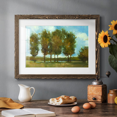 " Tall Trees "