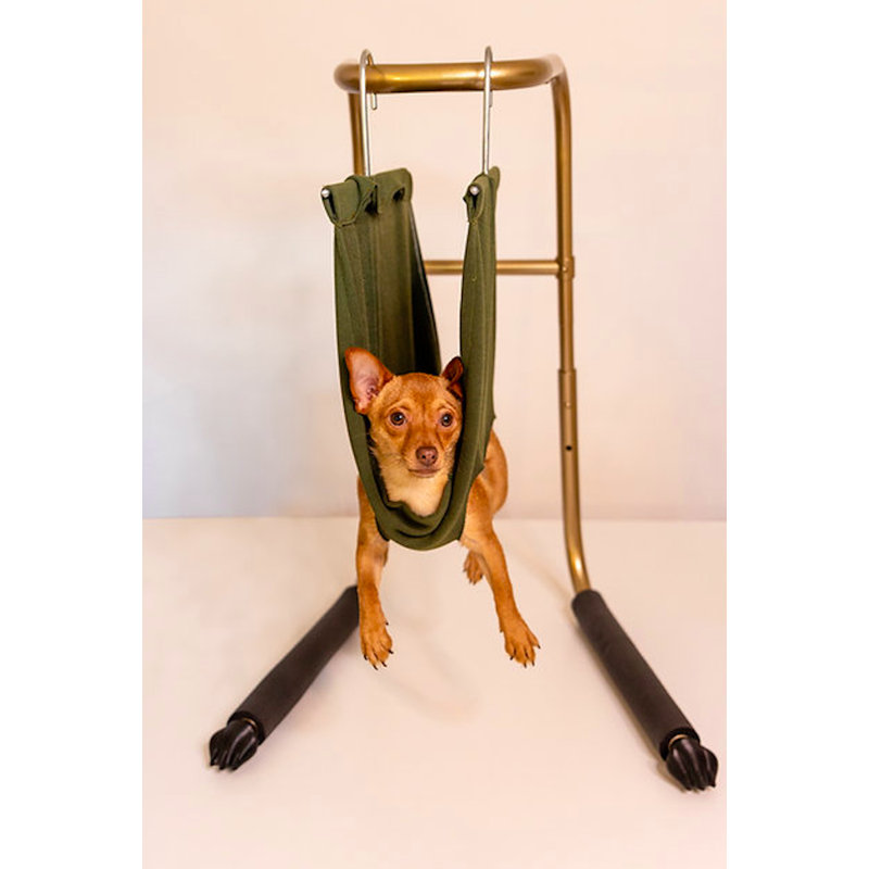 Pethold Goldorack, Or