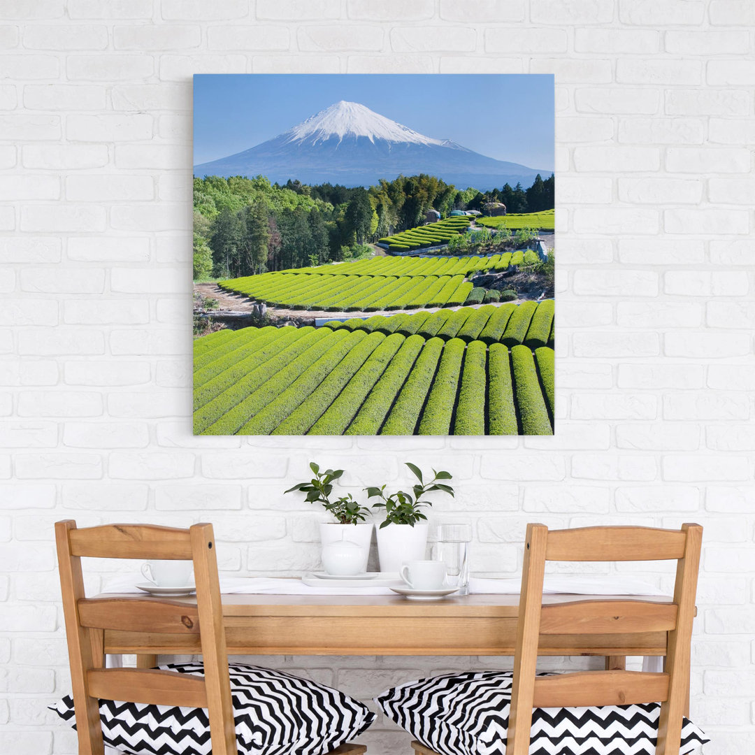 Leinwandbild Tea Fields Beneath Mount Fuji