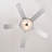 Graniah 25.98'' Ceiling Fan with LED Lights